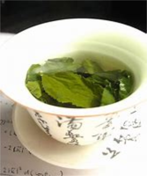 绿茶龙井冲泡流程
