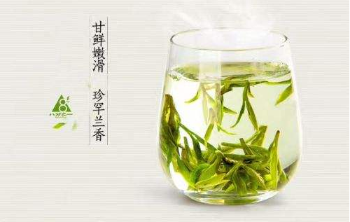 绿茶龙井茶叶储存