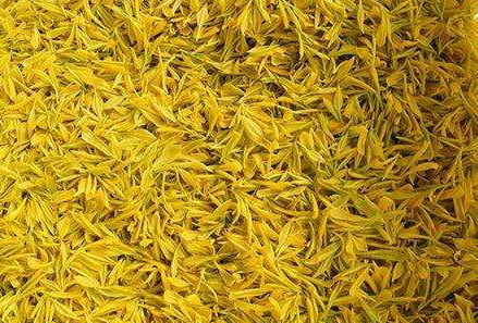世界上最贵的茶叶 黄金芽茶的价格 世界最贵茶叶排行