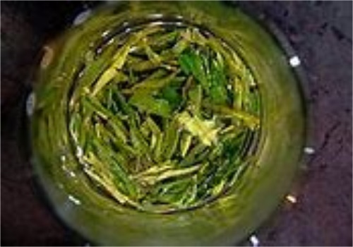 绿茶龙井茶能保存多久