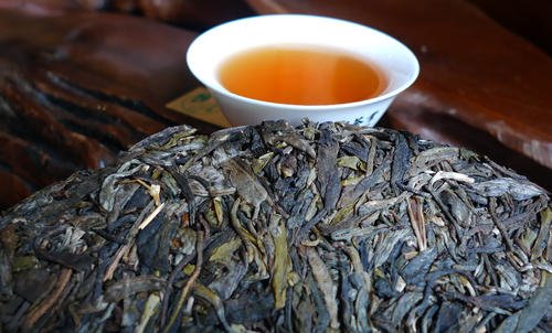 普洱茶属于哪一类茶种 普洱茶到底是什么茶呢
