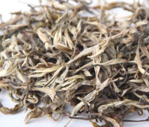 古树白茶的功效与作用 古树白茶的独特之处