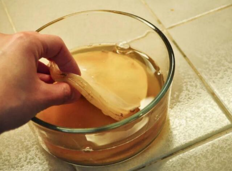 红茶菌的功效与作用及食用方法（饮用红茶菌有哪些好处）-第2张图片