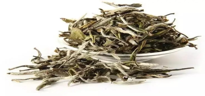 白茶是绿茶吗