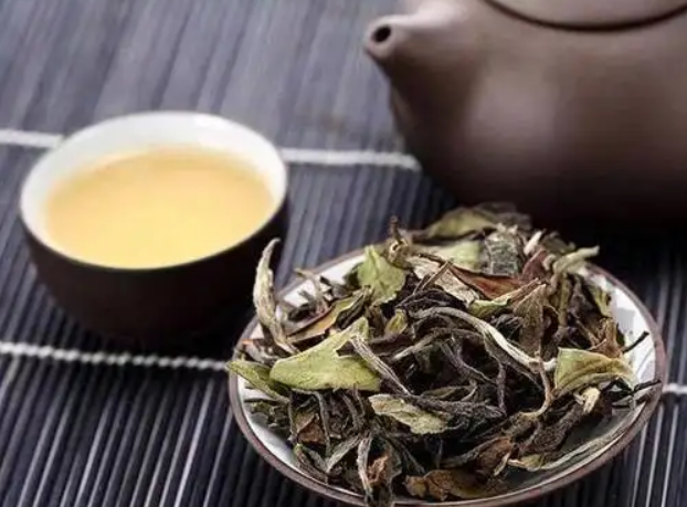 老白茶的药用价值和功效是什么 老白茶的好处和保健功效