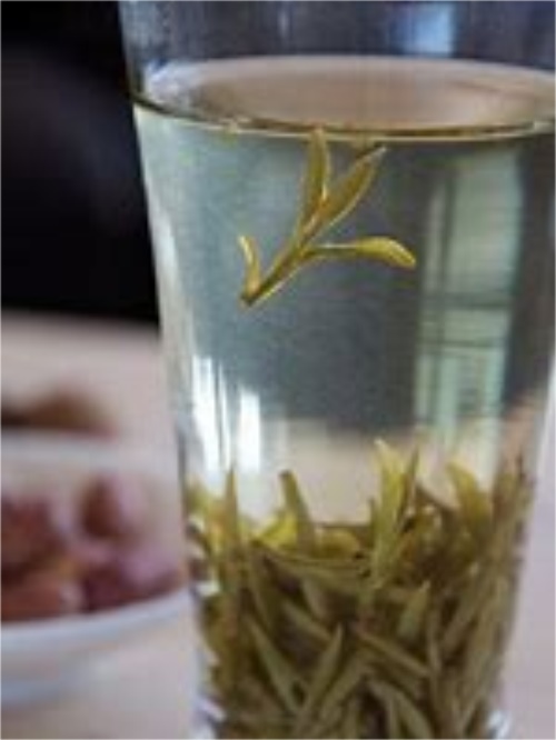 绿茶龙井纯手工制作 浓香型绿茶龙井的制作