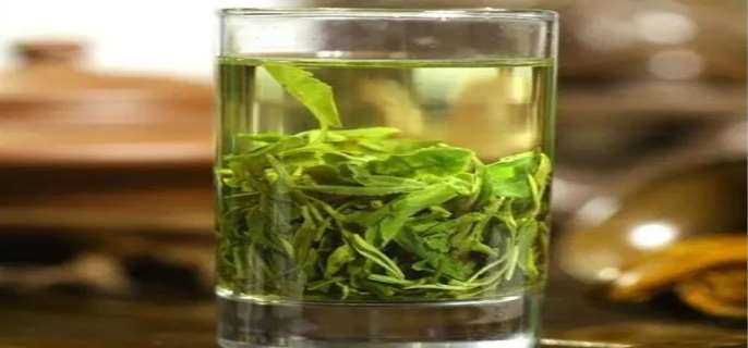 崂山绿茶的功效有哪些