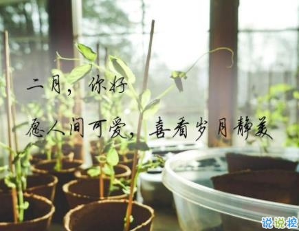 你好二月朋友圈唯美句子2020 1月再见2月你好文案1